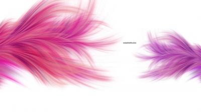 Feathers